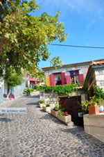 JustGreece.com Molyvos Lesbos | Greece | Greece  69 - Foto van JustGreece.com