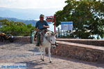 JustGreece.com Molyvos Lesbos | Greece | Greece  86 - Foto van JustGreece.com
