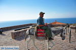 Molyvos Lesbos | Greece | Greece  87 - Photo JustGreece.com