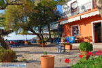 JustGreece.com Petra Lesbos | Greece | Greece  17 - Foto van JustGreece.com