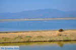 Bay Kalloni Lesbos | Greece | Greece  6 - Photo JustGreece.com