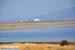 Bay Kalloni Lesbos | Greece | Greece  11 - Photo JustGreece.com
