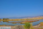 Bay Kalloni Lesbos | Greece | Greece  17 - Photo JustGreece.com