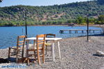 Near Pyrra and Achladeri | Lesbos Greece | Greece  6 - Photo JustGreece.com