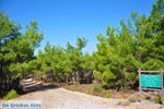 Near Waterfalls Pesas | Lesbos Greece | Greece  1 - Photo JustGreece.com