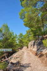 Near Waterfalls Pesas | Lesbos Greece | Greece  8 - Photo JustGreece.com