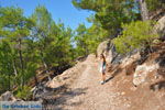Near Waterfalls Pesas | Lesbos Greece | Greece  9 - Photo JustGreece.com