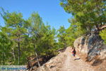 Near Waterfalls Pesas | Lesbos Greece | Greece  11 - Photo JustGreece.com
