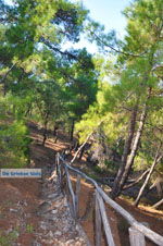 Near Waterfalls Pesas | Lesbos Greece | Greece  12 - Photo JustGreece.com