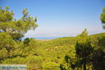 Near Waterfalls Pesas | Lesbos Greece | Greece  15 - Photo JustGreece.com
