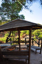 Near Waterfalls Pesas | Lesbos Greece | Greece  17 - Photo JustGreece.com