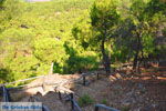 Near Waterfalls Pesas | Lesbos Greece | Greece  19 - Photo JustGreece.com