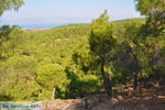 Near Waterfalls Pesas | Lesbos Greece | Greece  21 - Photo JustGreece.com