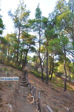 Near Waterfalls Pesas | Lesbos Greece | Greece  22 - Photo JustGreece.com