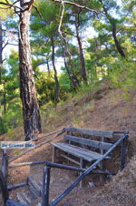 Near Waterfalls Pesas | Lesbos Greece | Greece  23 - Photo JustGreece.com