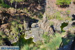 Near Waterfalls Pesas | Lesbos Greece | Greece  25 - Photo JustGreece.com