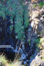 Near Waterfalls Pesas | Lesbos Greece | Greece  31 - Photo JustGreece.com