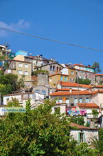 Agiasos (Agiassos) | Lesbos Greece | Greece  14 - Photo JustGreece.com