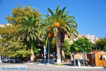 JustGreece.com Plomari | Lesbos Greece | Greece  4 - Foto van JustGreece.com