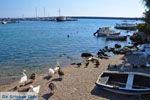 Plomari | Lesbos Greece | Greece  15 - Photo JustGreece.com