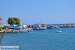 Plomari | Lesbos Greece | Greece  16 - Photo JustGreece.com