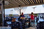 Plomari | Lesbos Greece | Greece  24 - Photo JustGreece.com