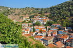 Plomari | Lesbos Greece | Greece  70 - Photo JustGreece.com