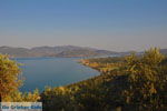 Evriaki | Geras Bay Lesbos | Greece  1 - Photo JustGreece.com