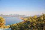 Evriaki | Geras Bay Lesbos | Greece  2 - Photo JustGreece.com