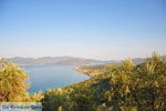 Evriaki | Geras Bay Lesbos | Greece  3 - Photo JustGreece.com
