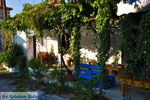 Pigadakia near Kato Tritos | Lesbos | Greece  5 - Photo JustGreece.com