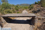 Near Kremasti-brug | Lesbos Greece | Greece  3 - Photo JustGreece.com