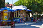 JustGreece.com Agia Paraskevi Lesbos | Greece | Greece  11 - Foto van JustGreece.com