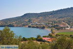 Skala Neon Kidonion | Lesbos | Greece  2 - Photo JustGreece.com