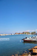 Skala Neon Kidonion | Lesbos | Greece  10 - Photo JustGreece.com