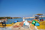 Skala Neon Kidonion | Lesbos | Greece  11 - Photo JustGreece.com