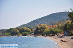 JustGreece.com Mistegna - Skala Mistegna | Lesbos | Greece  6 - Foto van JustGreece.com