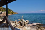 Mistegna - Skala Mistegna | Lesbos | Greece  11 - Photo JustGreece.com