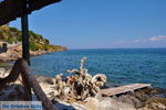 JustGreece.com Mistegna - Skala Mistegna | Lesbos | Greece  11 - Foto van JustGreece.com