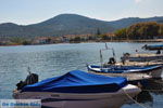 Mistegna - Skala Mistegna | Lesbos | Greece  13 - Photo JustGreece.com