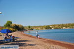 Tsonia | Lesbos | Greece  1 - Photo JustGreece.com