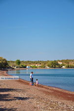 Tsonia | Lesbos | Greece  3 - Photo JustGreece.com