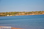 Tsonia | Lesbos | Greece  4 - Photo JustGreece.com