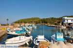 Sykaminia - Skala Sykaminia | Lesbos | Greece  7 - Photo JustGreece.com