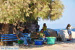 Sykaminia - Skala Sykaminia | Lesbos | Greece  10 - Photo JustGreece.com