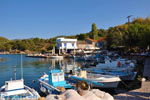 Sykaminia - Skala Sykaminia | Lesbos | Greece  12 - Photo JustGreece.com