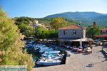 Sykaminia - Skala Sykaminia | Lesbos | Greece  16 - Photo JustGreece.com
