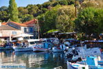 Sykaminia - Skala Sykaminia | Lesbos | Greece  19 - Photo JustGreece.com