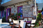 Sykaminia - Skala Sykaminia | Lesbos | Greece  27 - Photo JustGreece.com