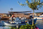 Sykaminia - Skala Sykaminia | Lesbos | Greece  30 - Photo JustGreece.com